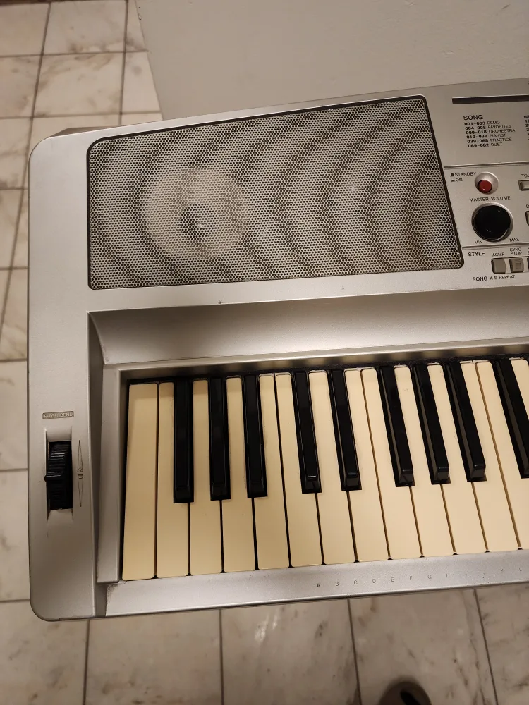Yamaha Portable Grand DGX-300 Keyboard image indicator(3)