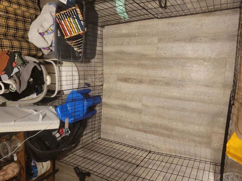 dog playpen