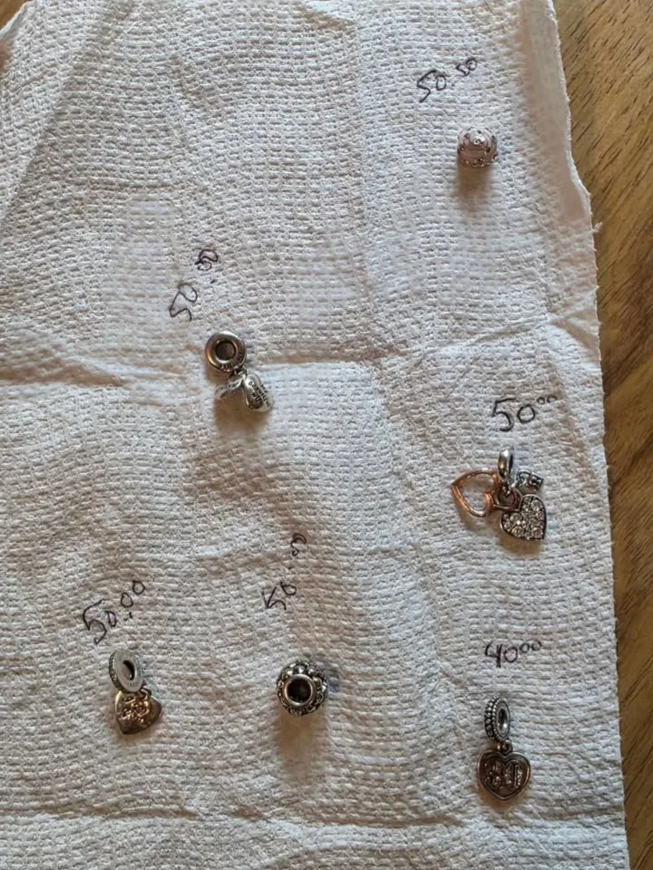 Pandora Charms and Bracelet image indicator(2)