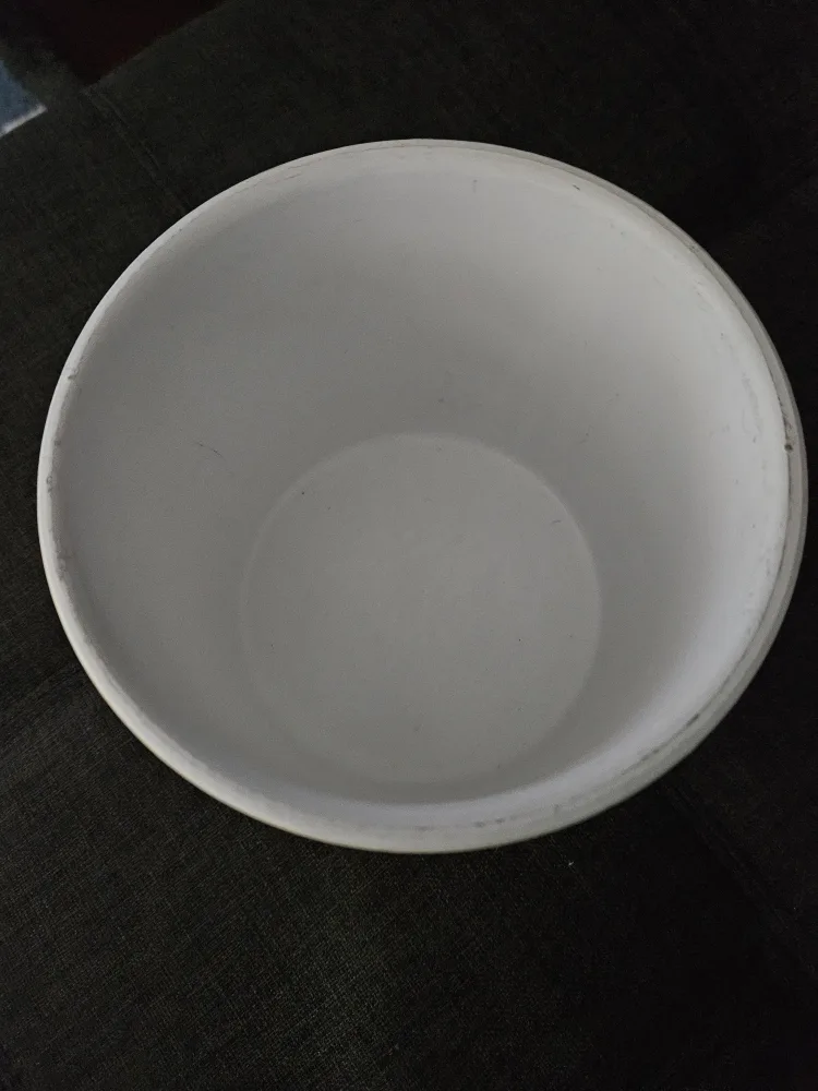 W. Russell Bird Design Planter 6" tall, 6" wide image indicator(5)