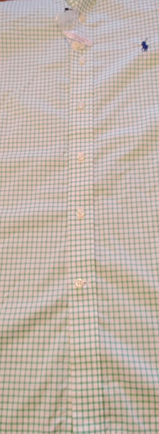 Polo Ralph Lauren Green Gingham Shirt - photo 5