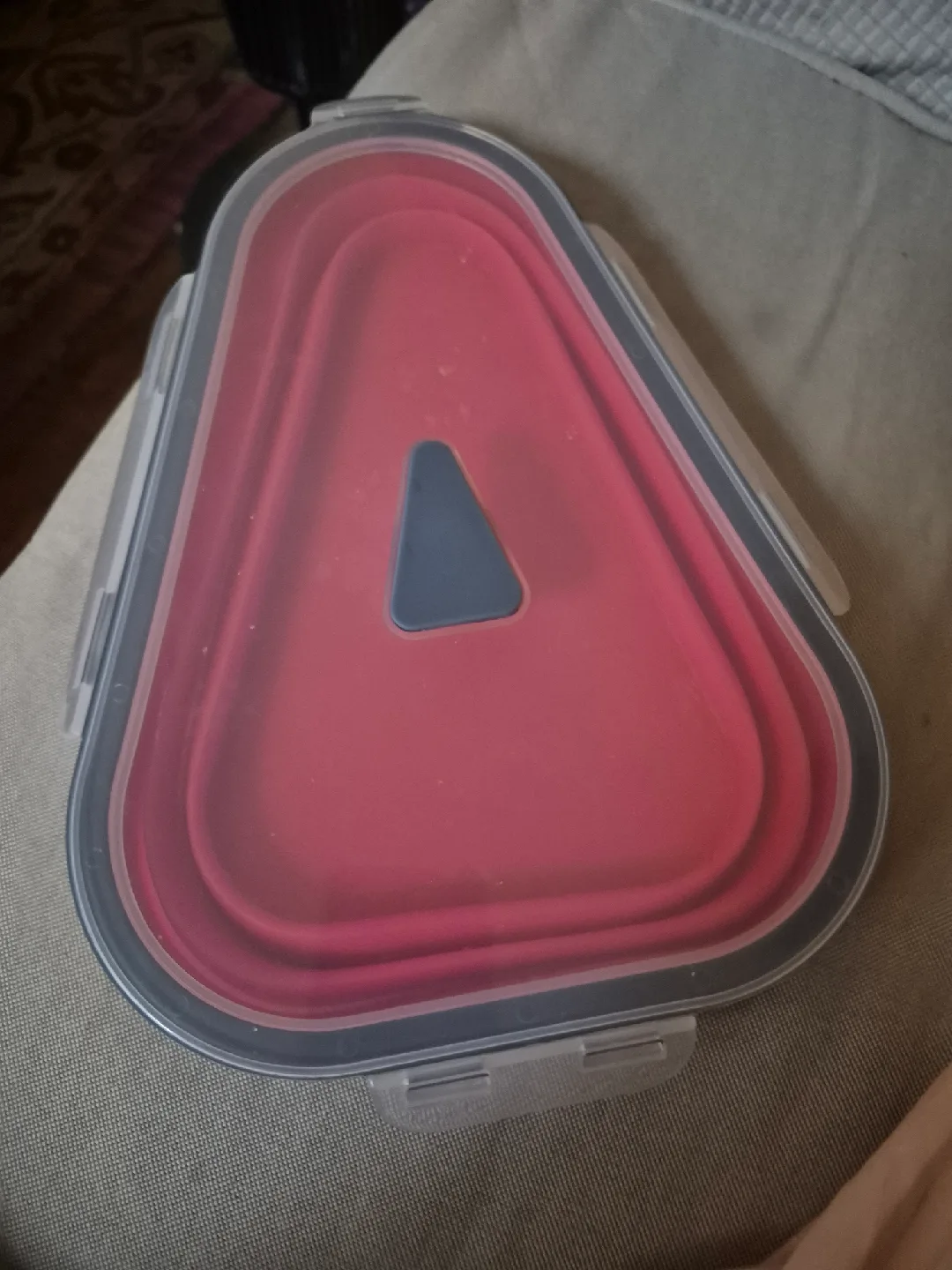 Red Collapsible Pizza  Food Container🥕 thumbnail