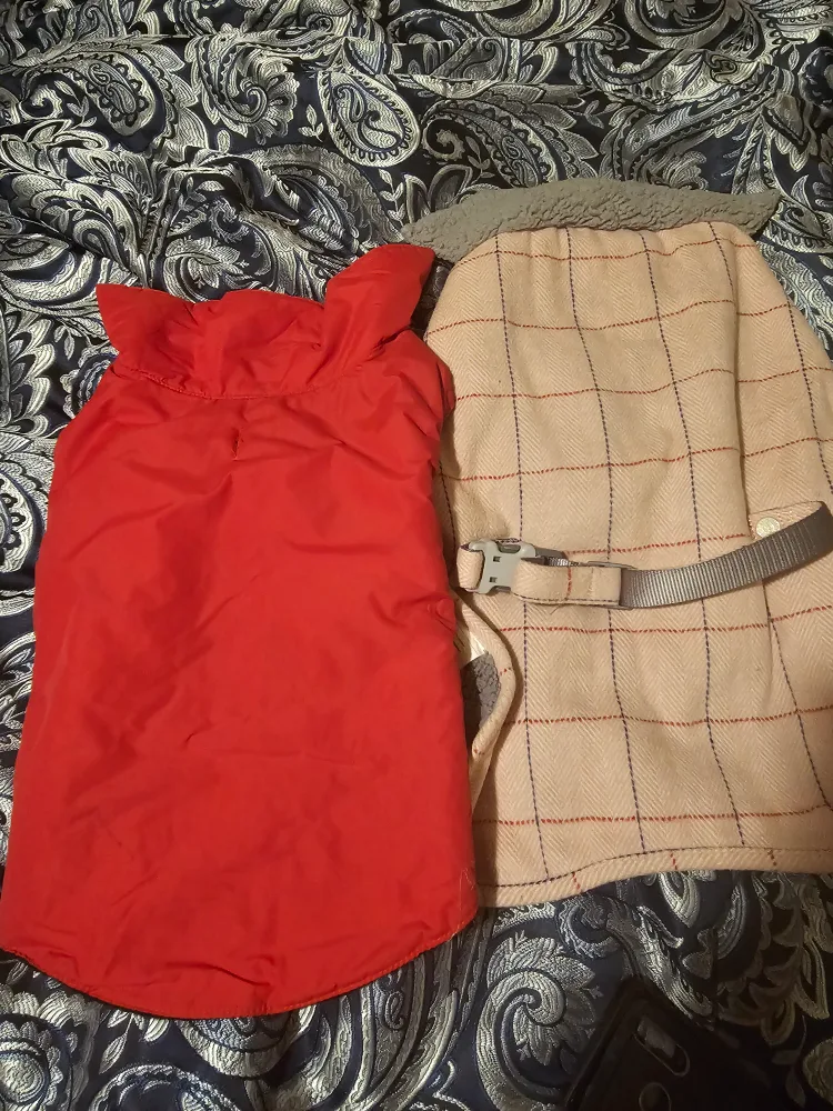 dog items image indicator(8)