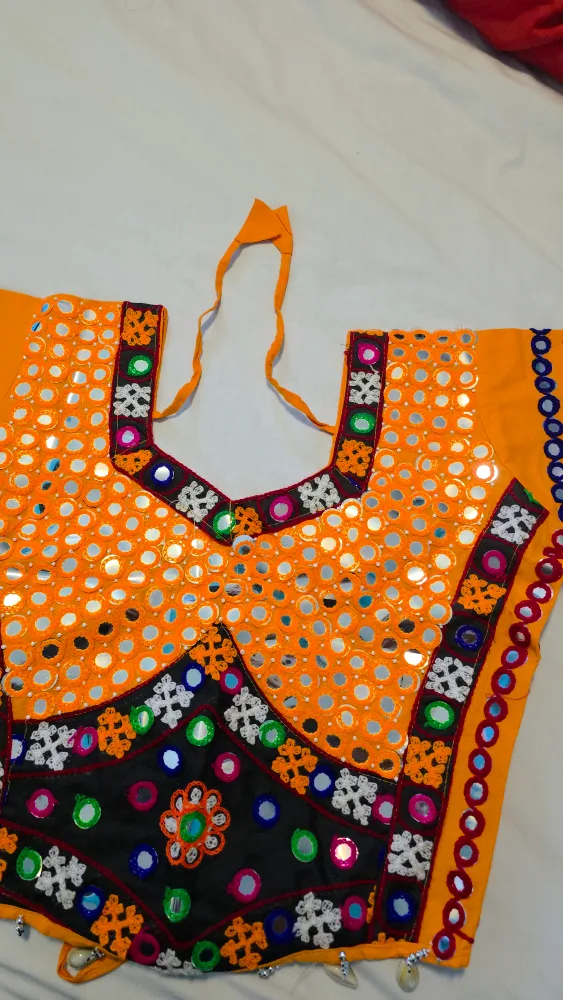 Embroidered Indian Dress with Mirror Details- ChaniyaCholi image indicator(4)
