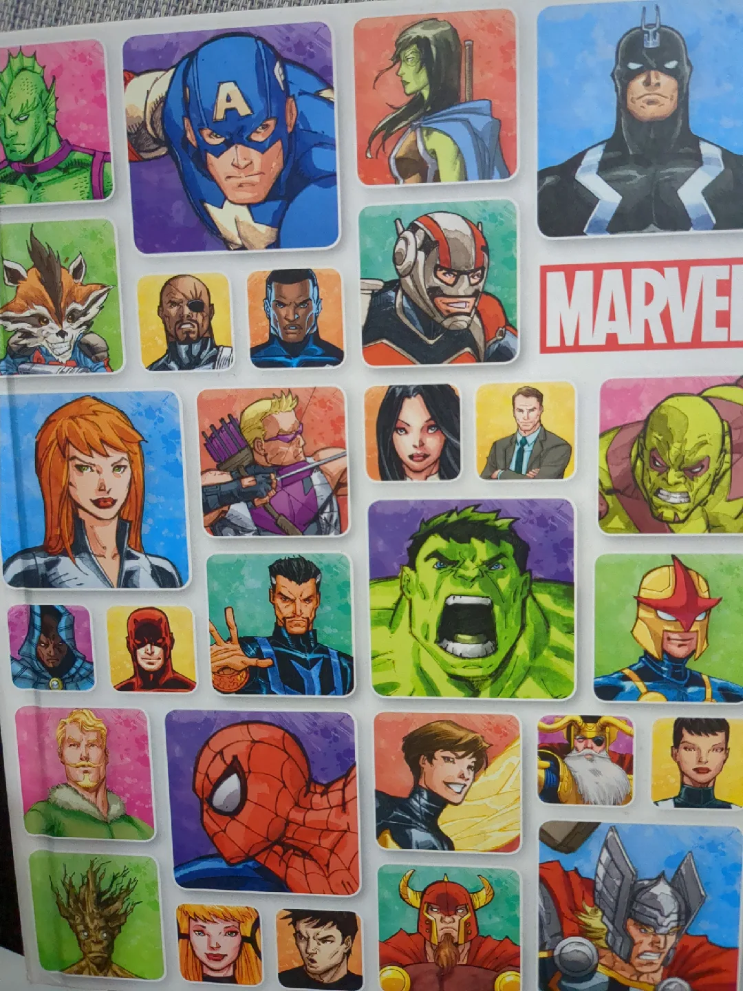 Marvel characters book thumbnail