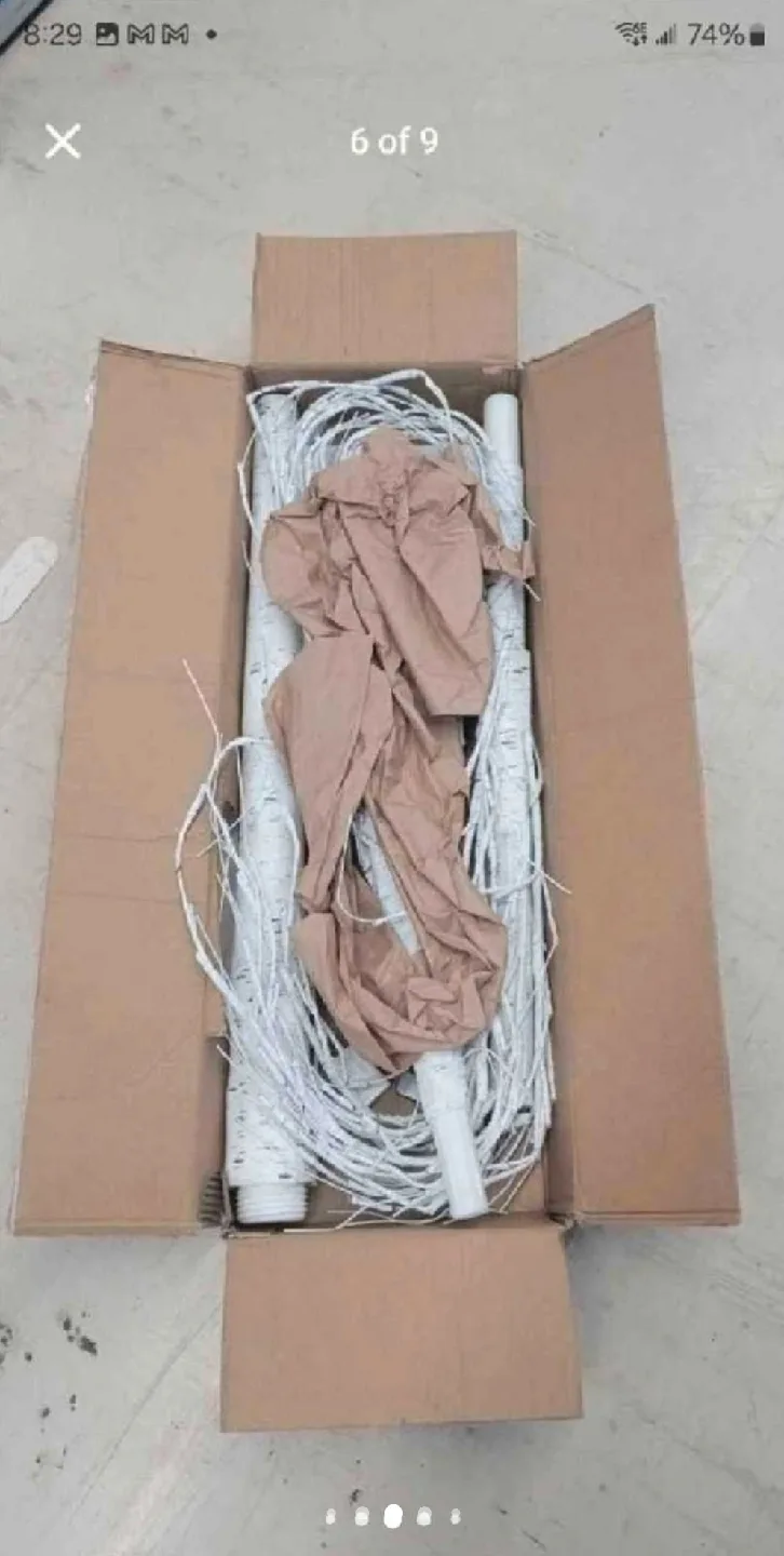 8Ft Lighted Birch Tree image indicator(5)