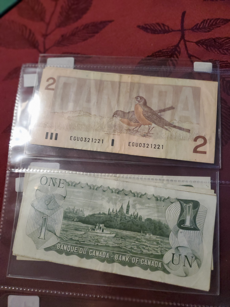 Canadian 1 and 2 dollar bills - photo 2