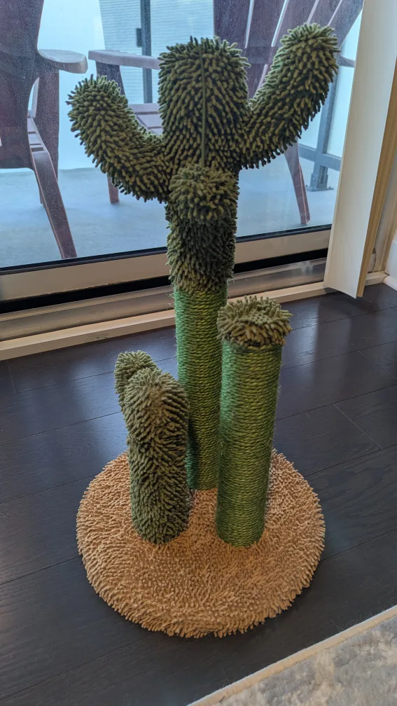 Cactus Cat Scratching 🥕 image indicator(2)