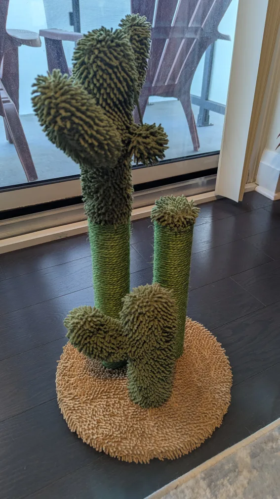 Cactus Cat Scratching 🥕 image indicator(3)