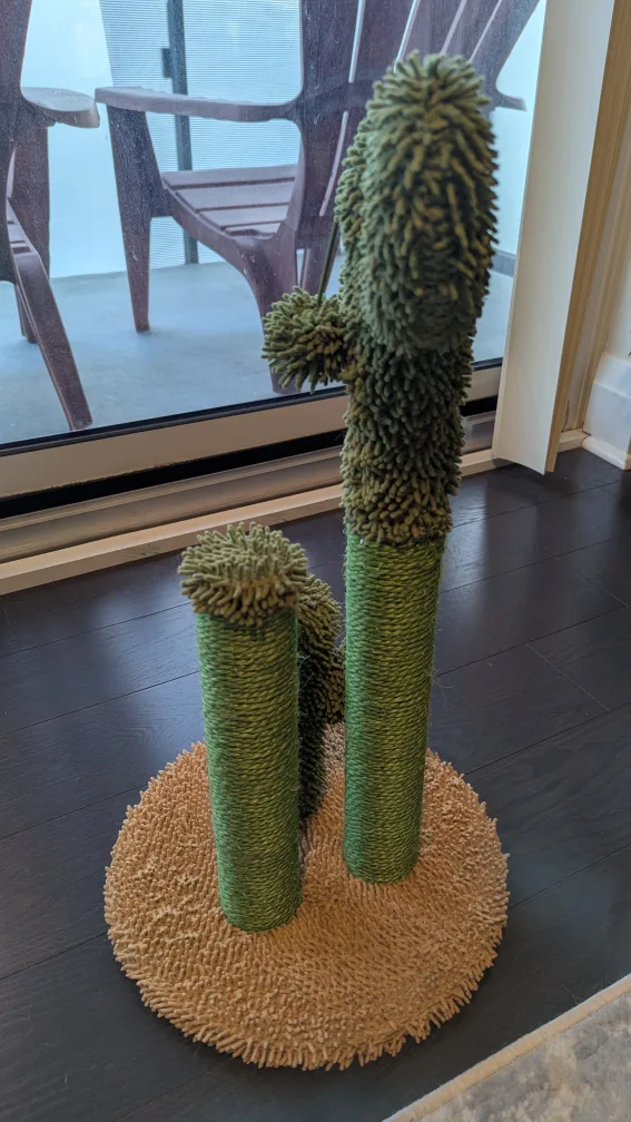 Cactus Cat Scratching 🥕 image indicator(4)