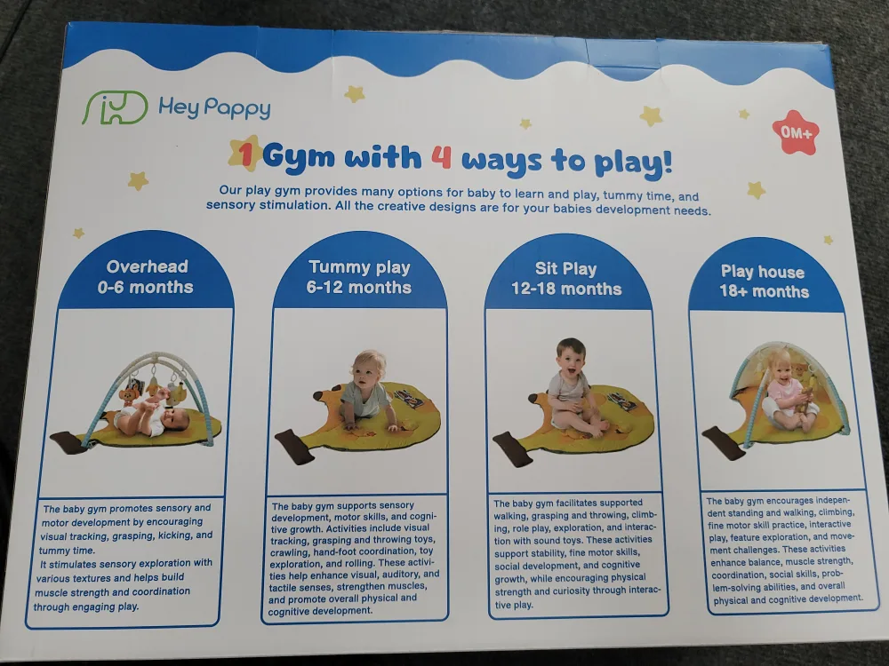 Hey Pappy Baby Play Gym - Fruit Series (New) image indicator(2)