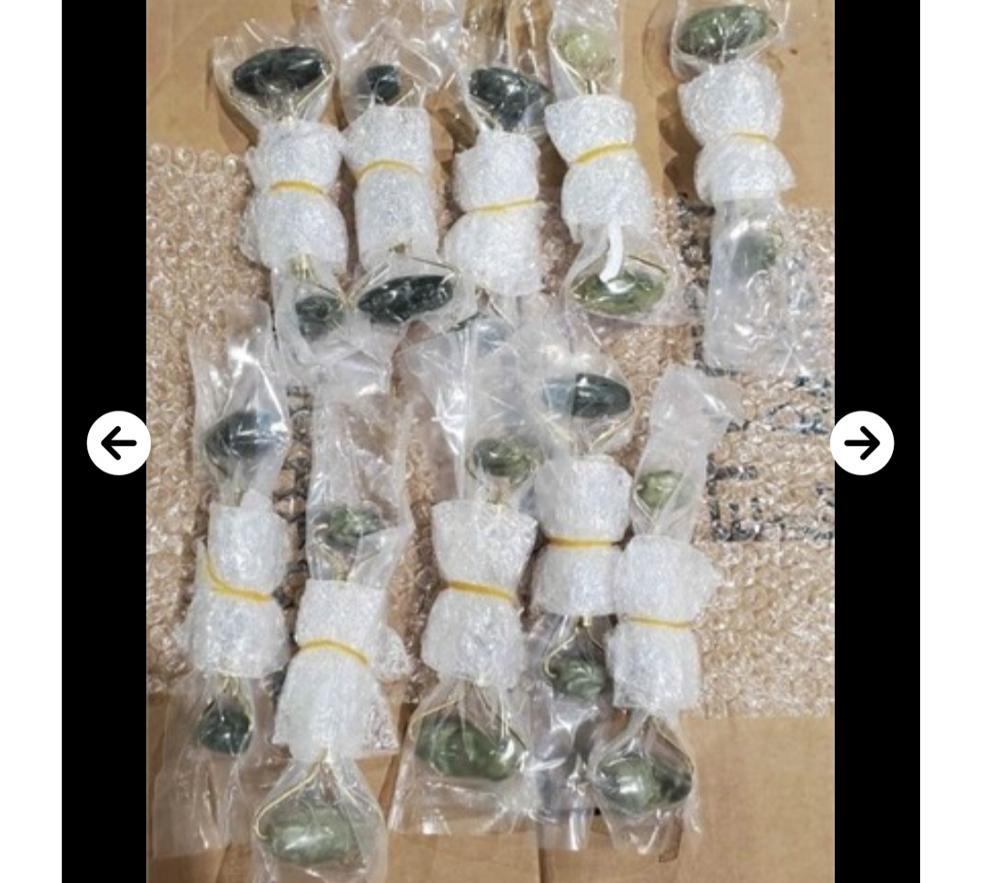 New Jade Stone Face Roller – Dual Sided - photo 2