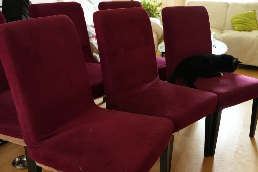 Burgundy Dining Chairs image indicator(2)