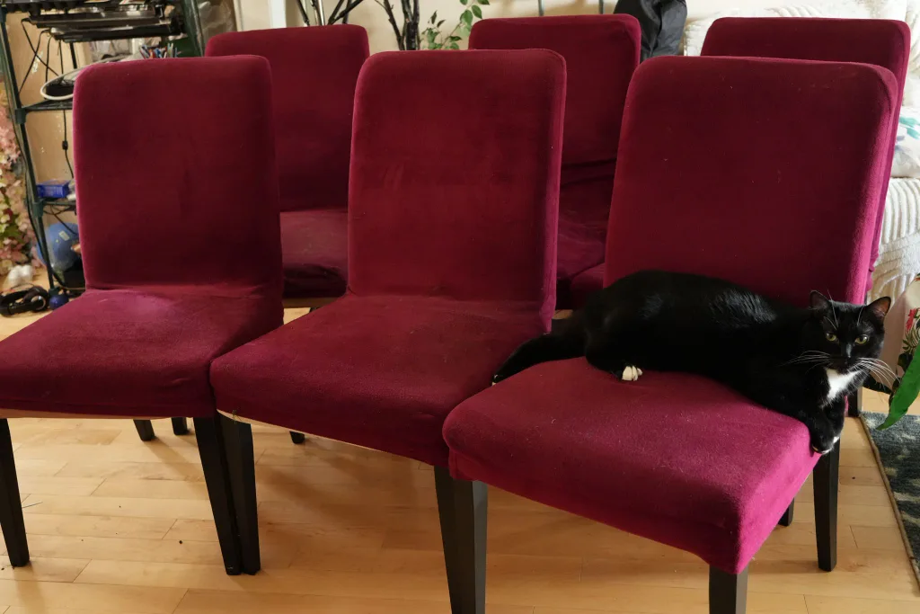 Burgundy Dining Chairs image indicator(3)