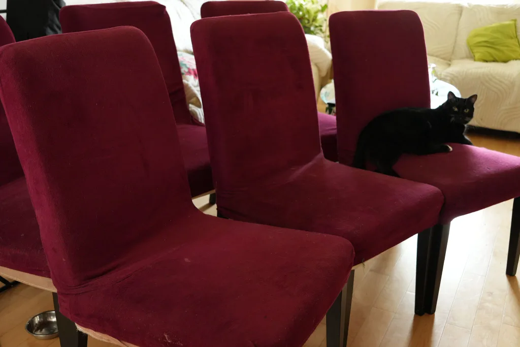Burgundy Dining Chairs image indicator(4)