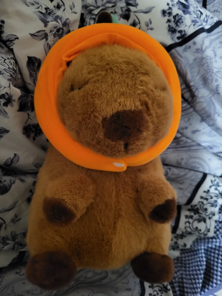 MINISO Capybara With Orange Hat thumbnail