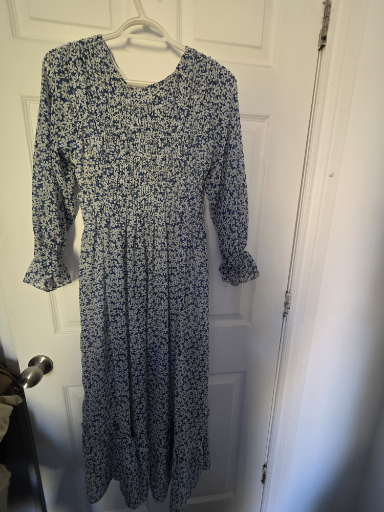 Blue Floral Long Sleeve Maxi Dress