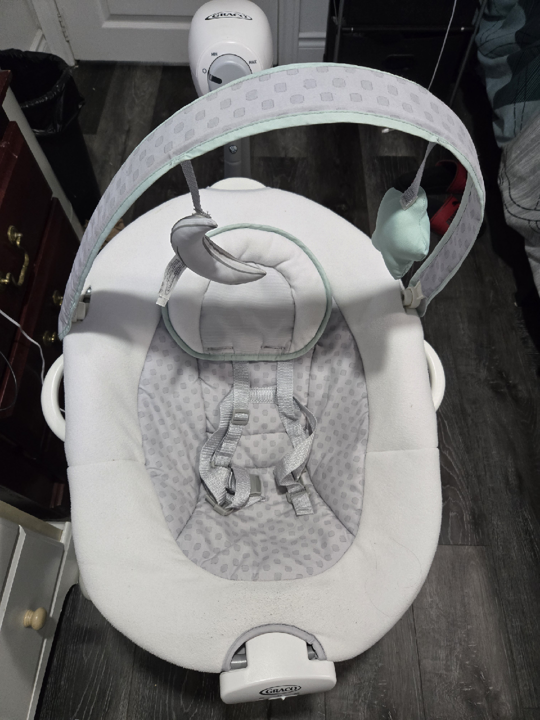 Graco Baby Swing and bouncer