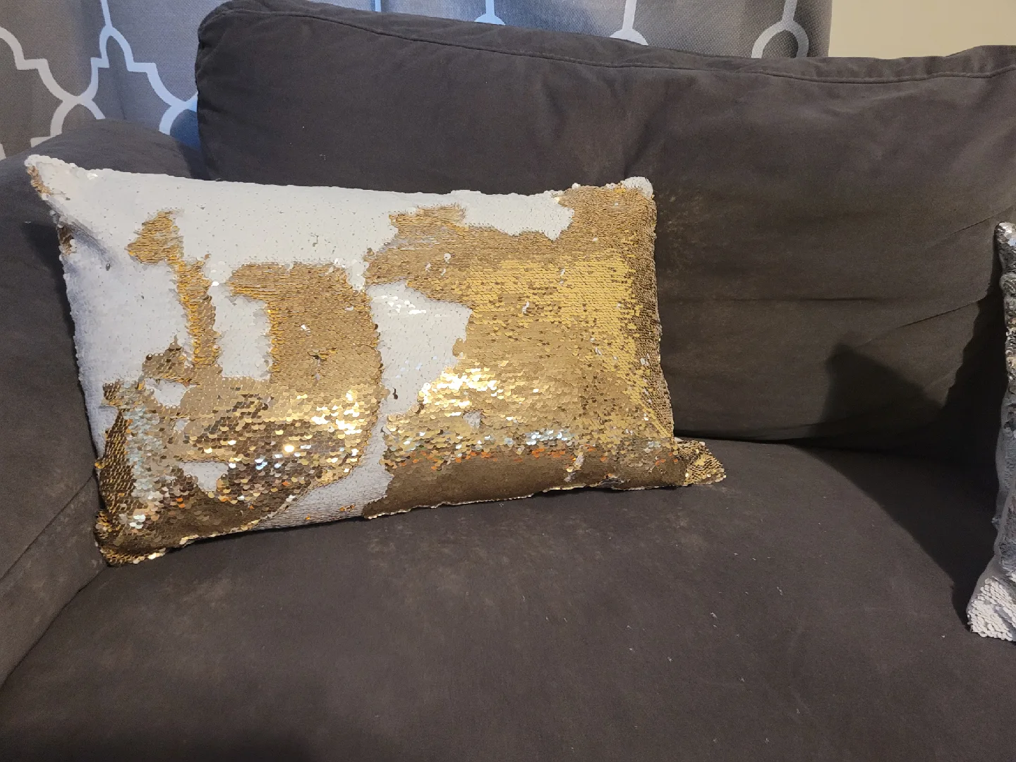 Sequin Throw Pillows