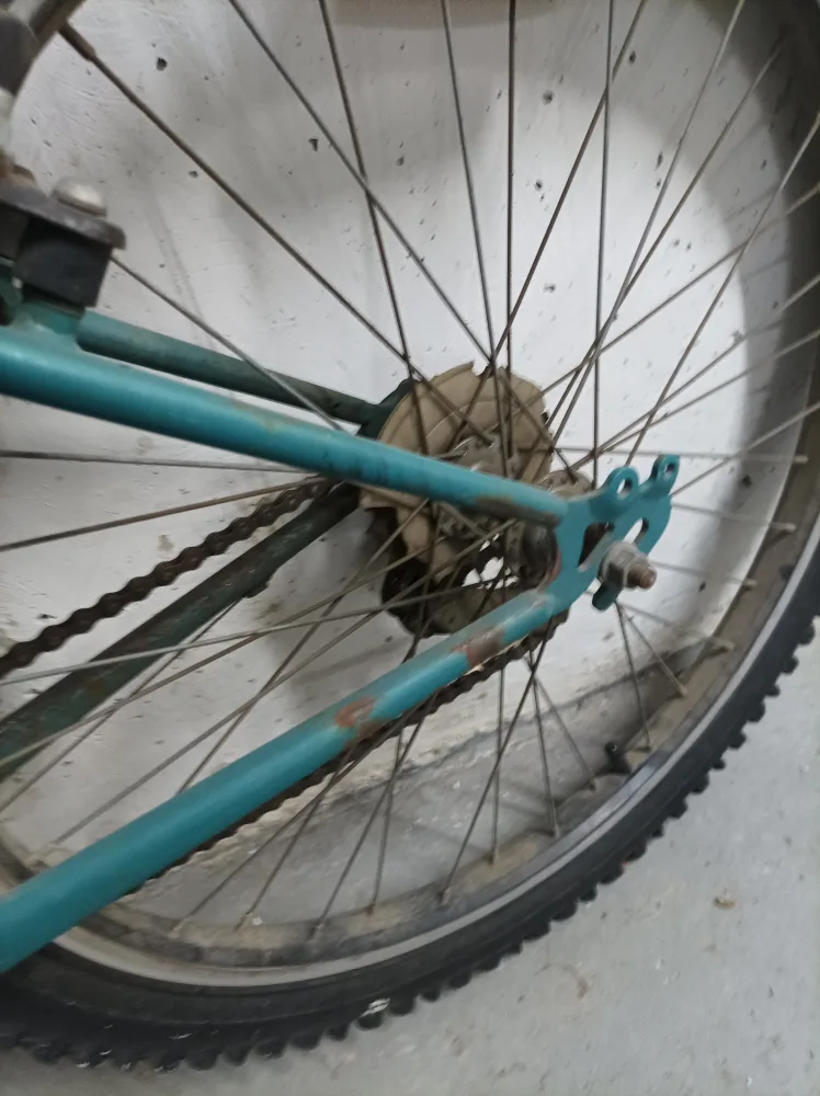 CCM Mountain Bike - Teal image indicator(8)