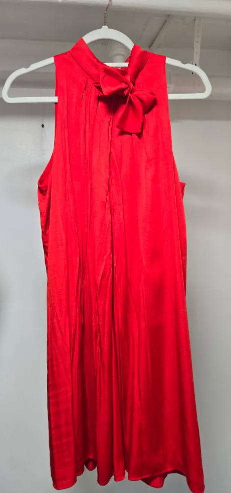 Red Sleeveless Dress thumbnail