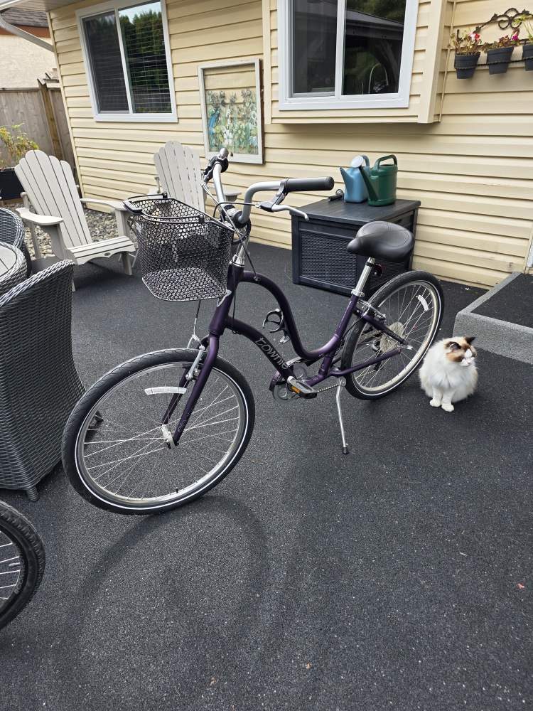 Women's Trek Townie - photo 2