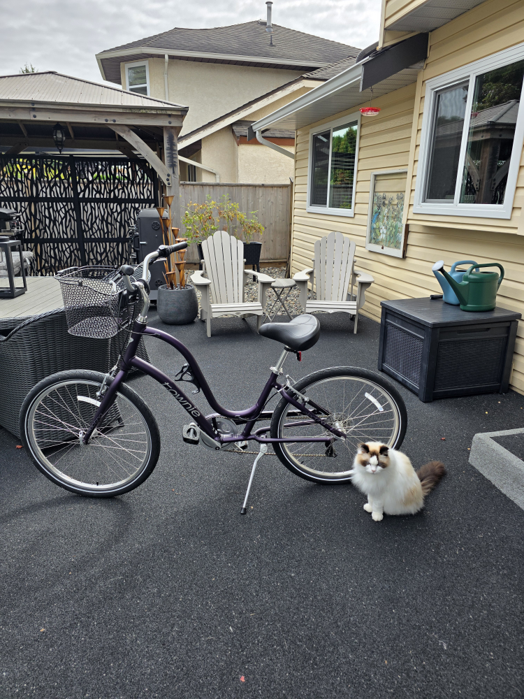 Women's Trek Townie - photo 3