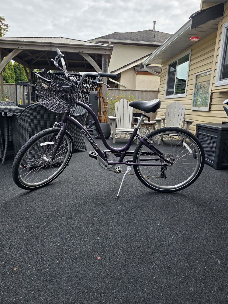 Women's Trek Townie - photo 4