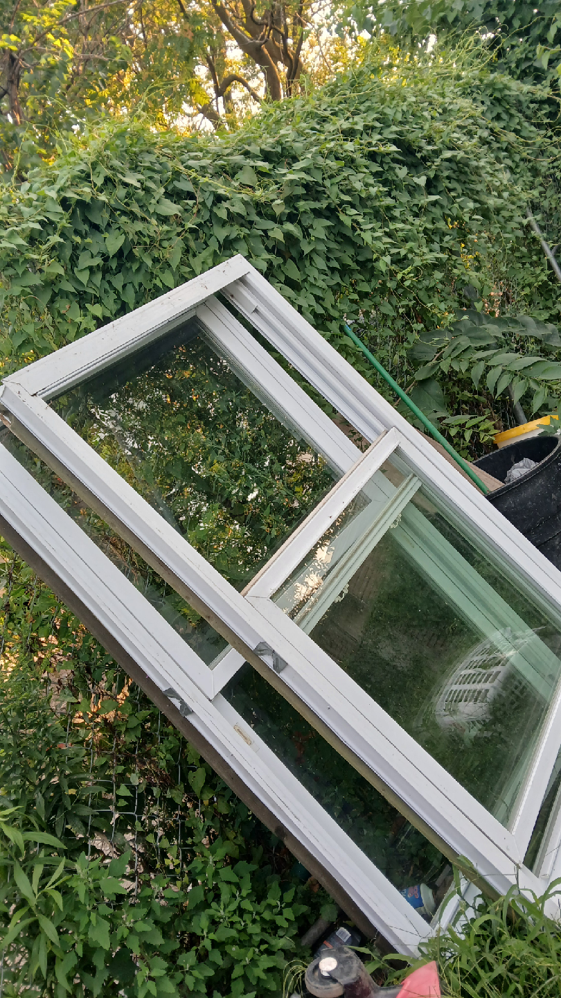 2 home windows 🥕