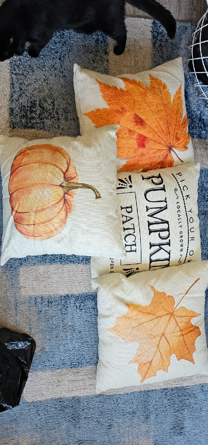 Fall Themed Decorative Throw Pillows thumbnail