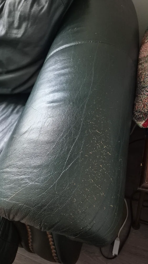 Green Leather Loveseat Sofa image indicator(2)