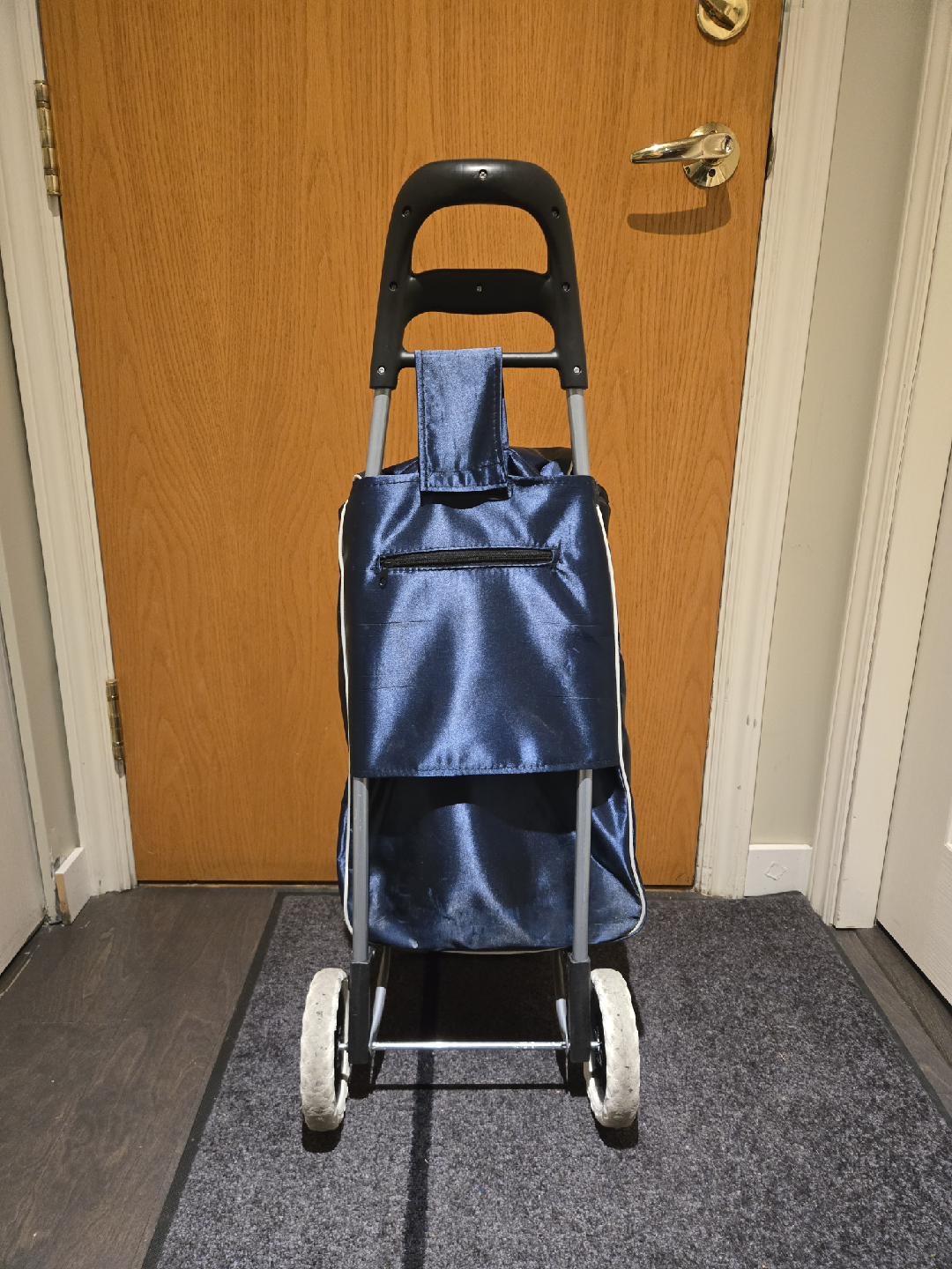 Blue Shopping Trolley Cart