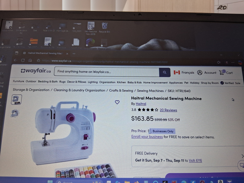 Haitral Mechanical Sewing Machine