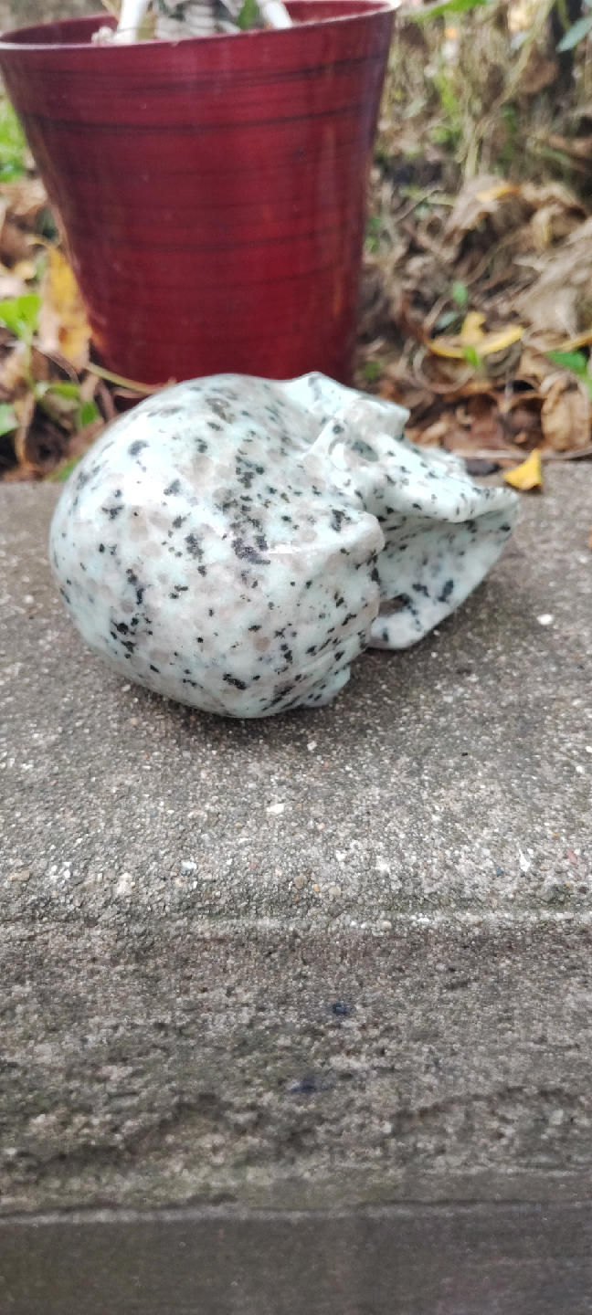 Kiwi jasper skull - photo 5