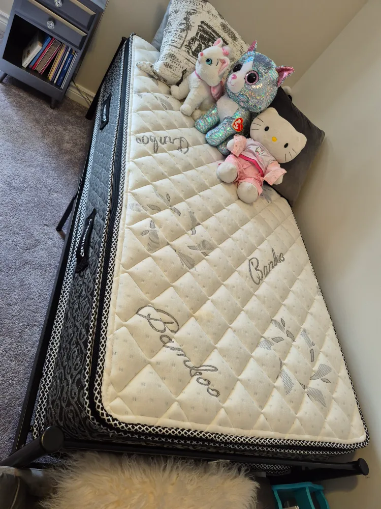 Twin Bed Frame & Bamboo Mattress image indicator(2)