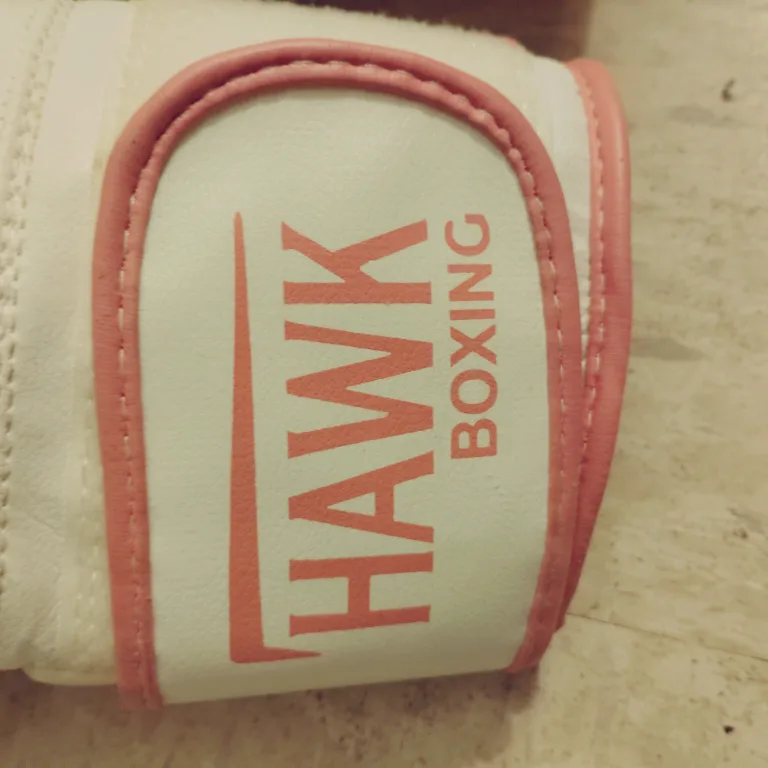 Hawk Boxing Gloves - 10 oz image indicator(5)