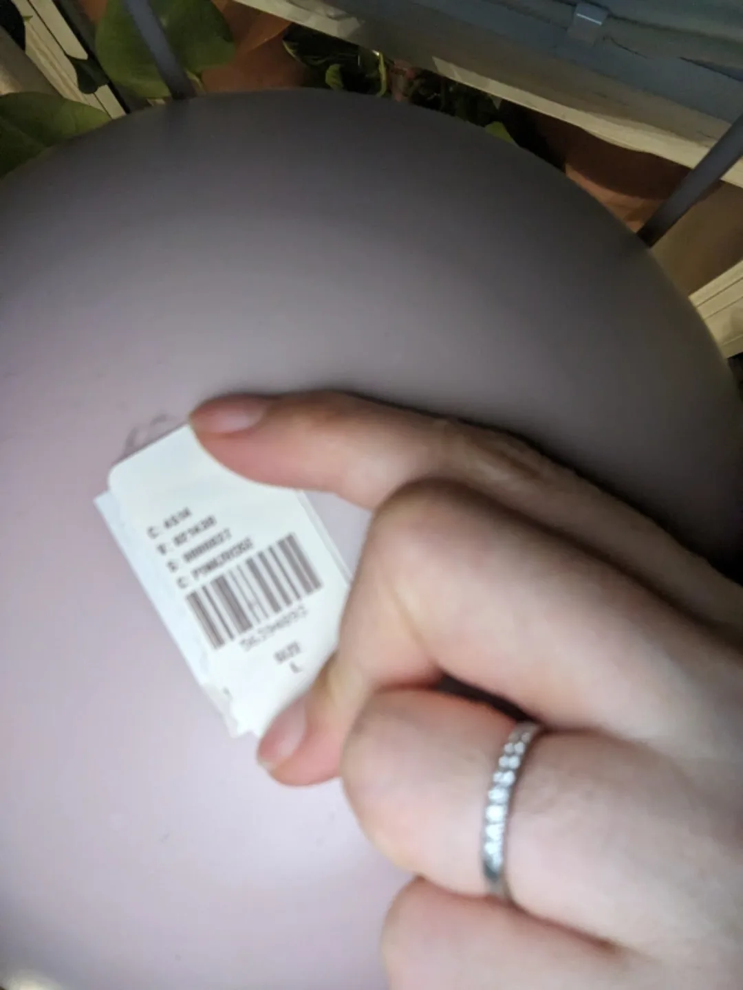 🥕Celeste Plant Stand  $90 image indicator(6)