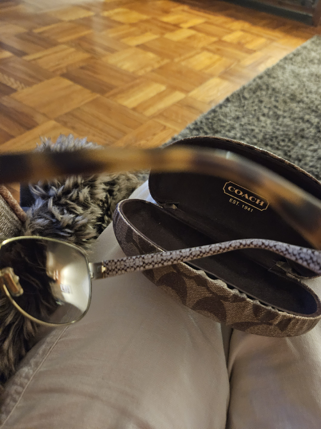 coach sunglasses - photo 3