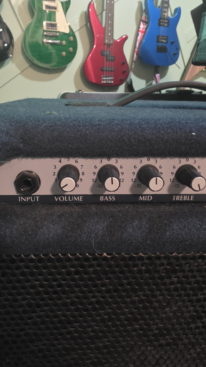Yorkville bassmaster 100 bass amplifier - photo 4