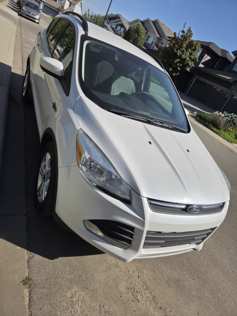 Ford Escape - White SUV - photo 4