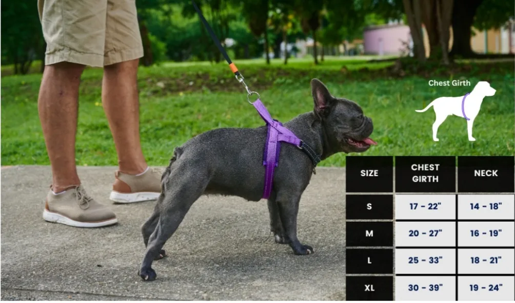 Red Dog Harness - Size M image indicator(6)