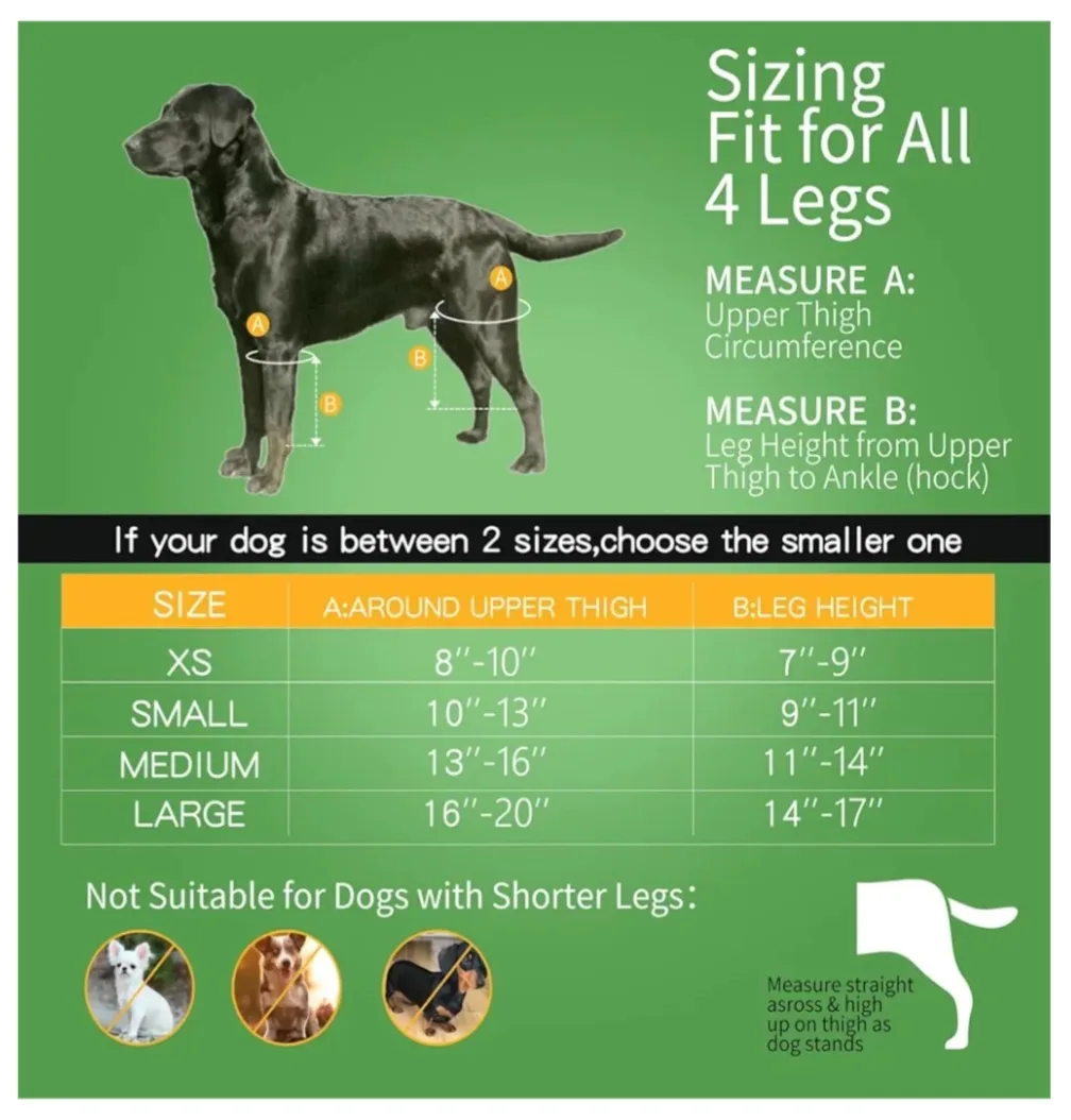 JINGY Dog Knee Brace, Size XS image indicator(4)