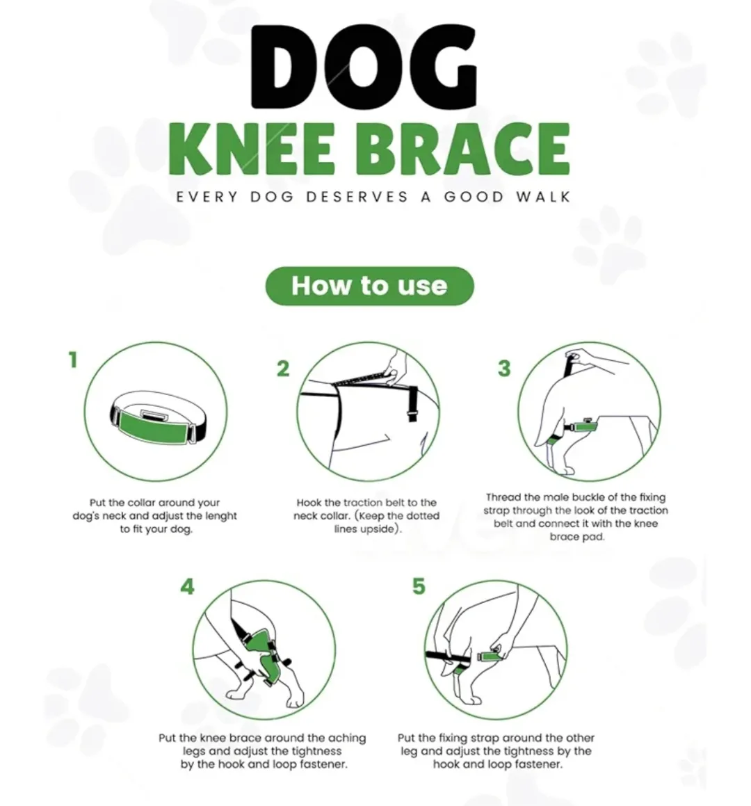 JINGY Dog Knee Brace, Size XS image indicator(5)