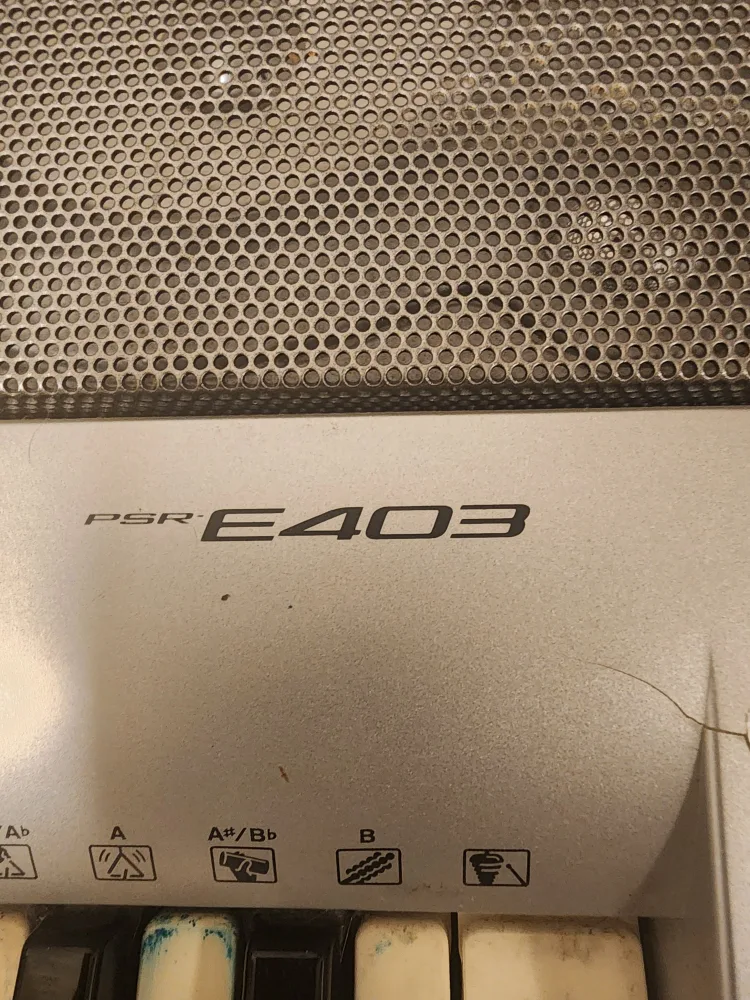 Yamaha PSR-E403 Keyboard with Ritter Gig Bag image indicator(5)