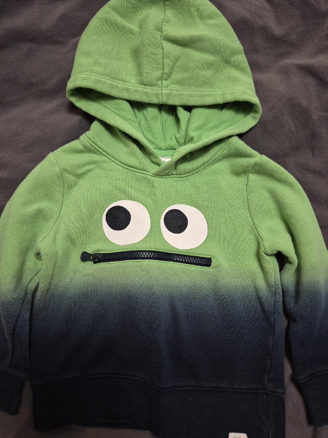 Gap Hoodie