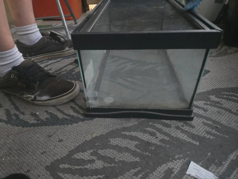 20 Gallon Reptile Terrarium Tank image indicator(4)