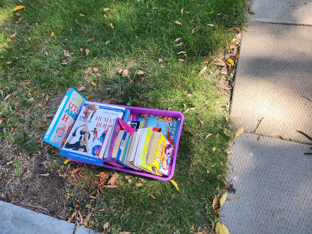 Mixed Lot of Toys and Books