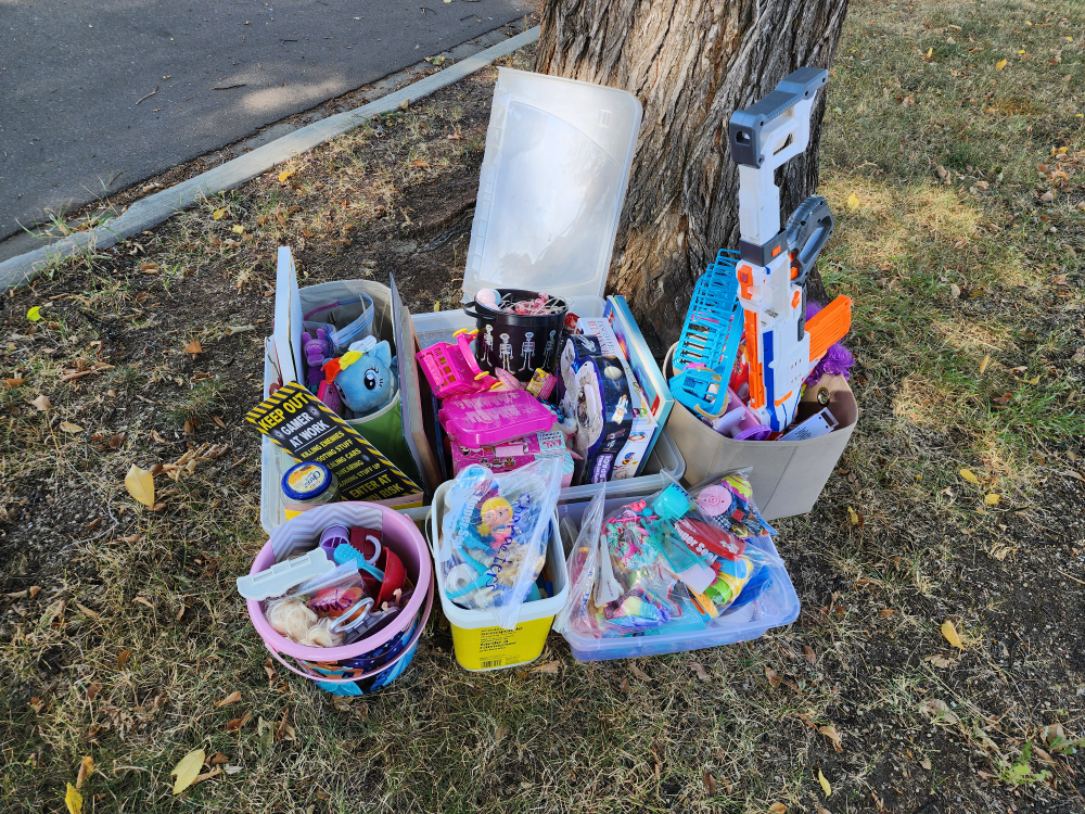 Mixed Lot of Toys and Books - photo 2