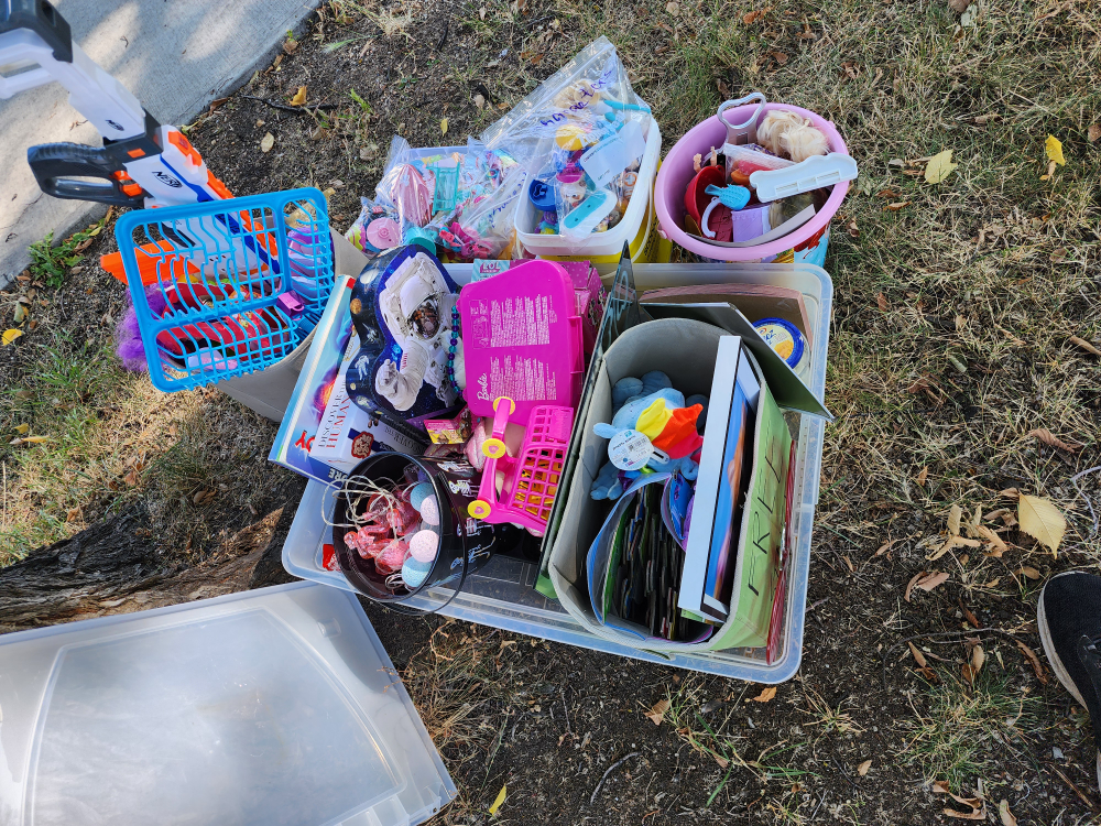 Mixed Lot of Toys and Books - photo 3