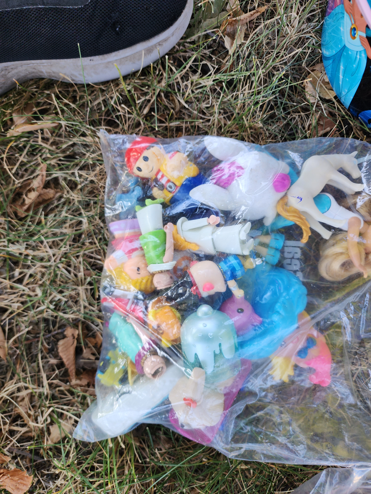 Mixed Lot of Toys and Books - photo 5